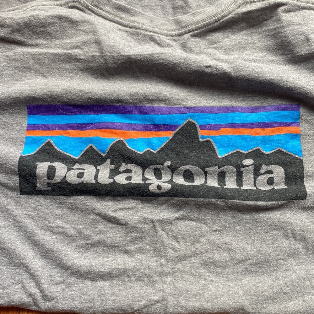 Mens Patagonia t-shirt